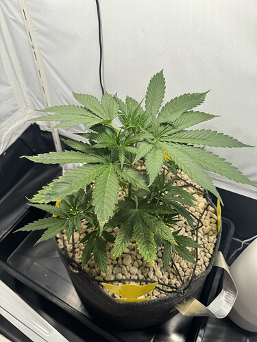 20240503_050714441_iOS