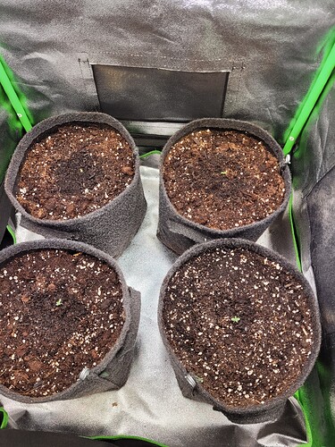 Growreport Bild 3