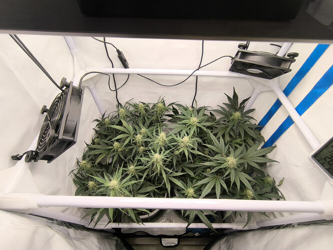 Growreport Bild 7
