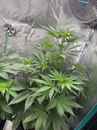 Growreport Bild 12