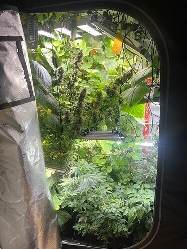 Growreport Bild 44