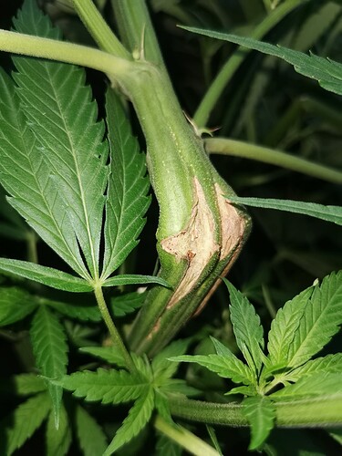 Growreport Bild 11