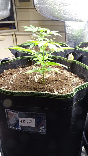 Growreport Bild 3