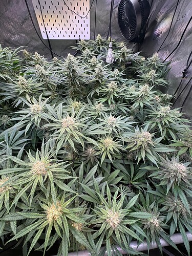 Growreport Bild 5