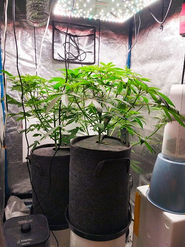 Growreport Bild 11