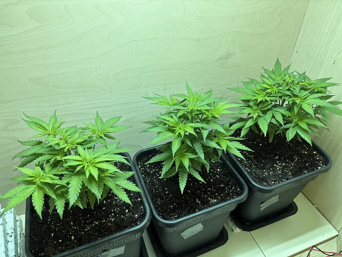 Growreport Bild 17