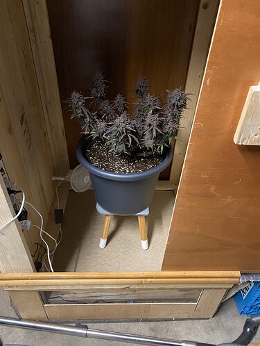 Growreport Bild 12