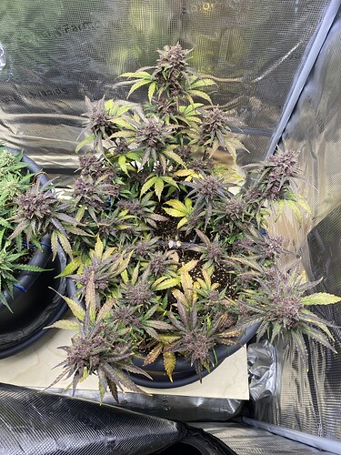 Growreport Bild 10