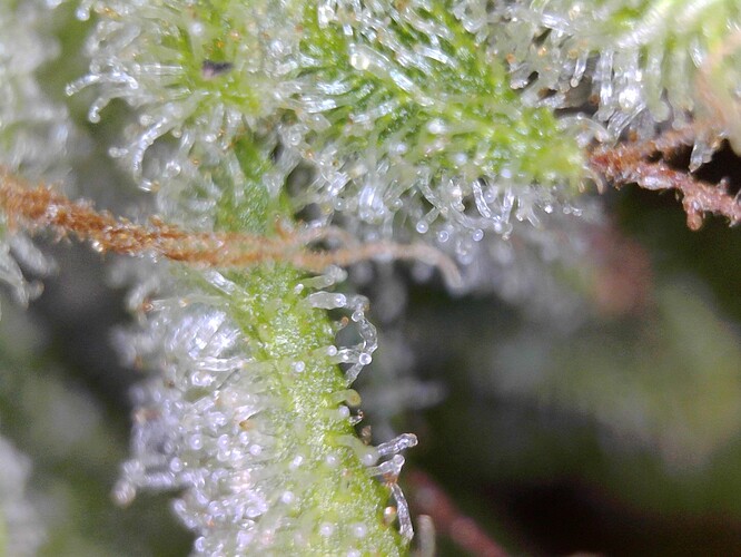 WIN_20240806_22_44_24_Pro