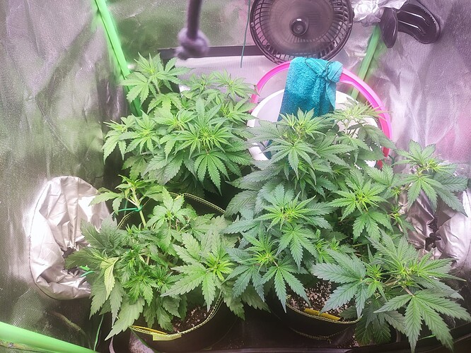Growreport Bild 7
