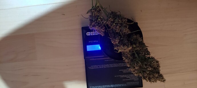 Growreport Bild 16