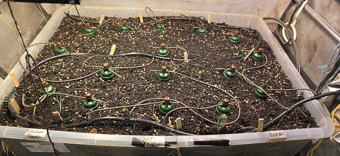 Growreport Bild 25