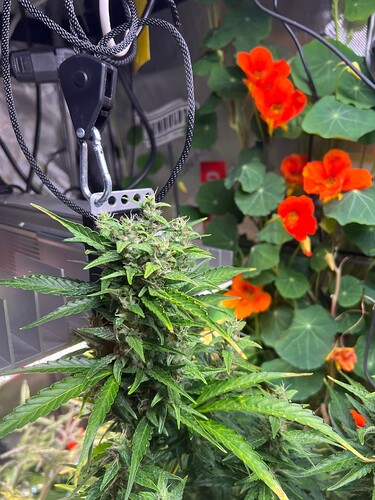 Growreport Bild 10