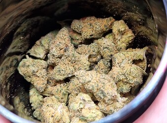 Growreport Bild 7
