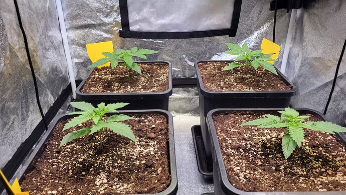 Growreport Bild 1