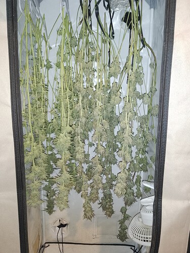 IMG_20240803_032606_388