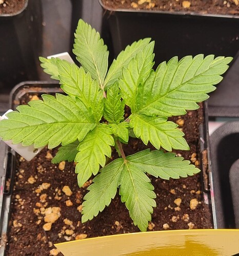 WhatsApp Image 2024-11-06 at 18.30.45 (3)