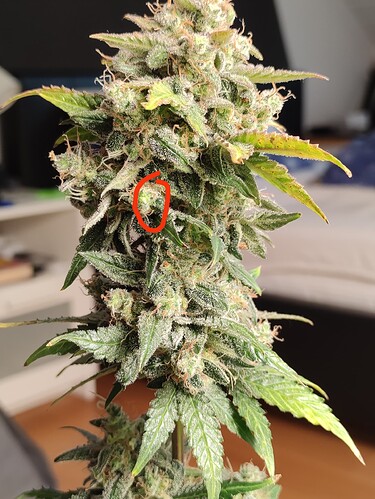 Growreport Bild 45