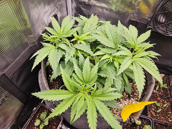 Growreport Bild 13