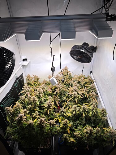 MVIMG_20251128_151100