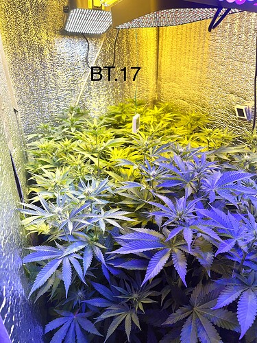 Growreport Bild 11