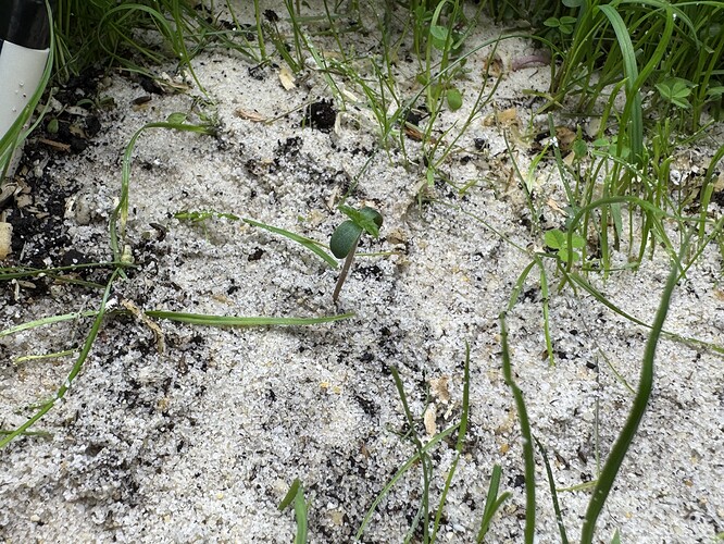Growreport Bild 23