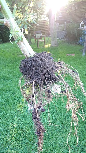 Growreport Bild 11