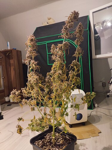 Growreport Bild 3