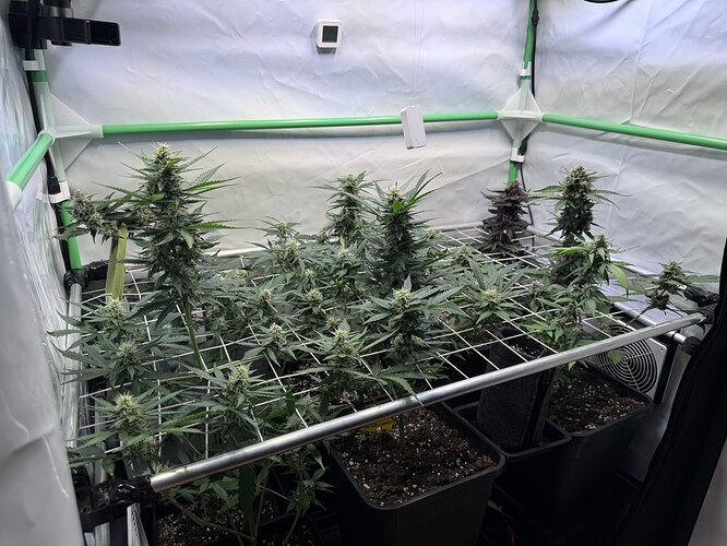 Growreport Bild 16