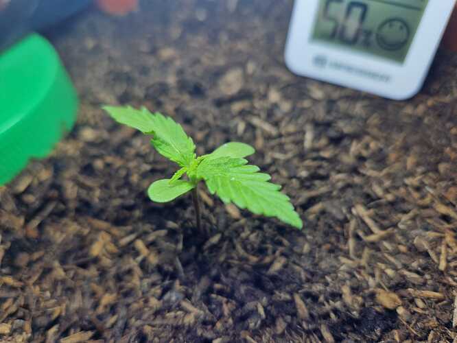 WhatsApp Image 2024-04-21 at 13.20.48 (1)