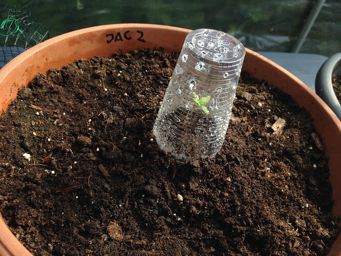 Growreport Bild 60