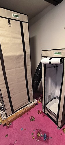 Growreport Bild 1