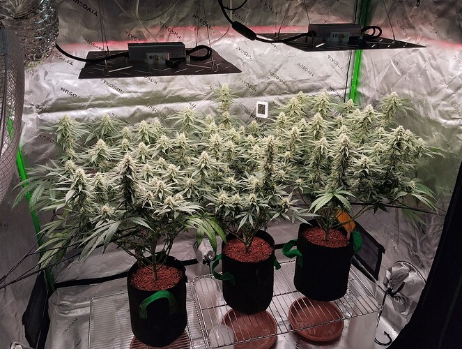 Growreport Bild 10