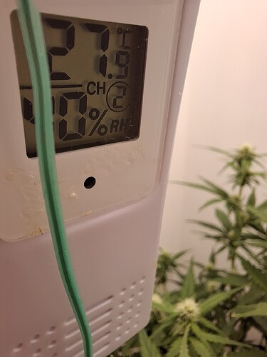 Growreport Bild 117