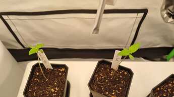 WhatsApp Image 2024-04-30 at 20.48.04