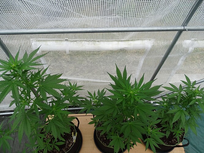Growreport Bild 22