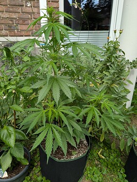 Growreport Bild 14