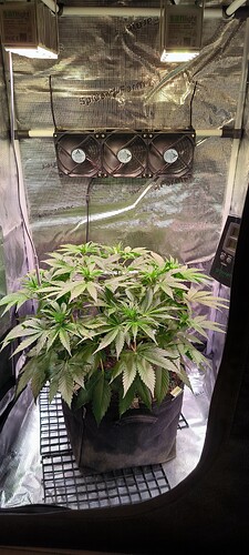 Growreport Bild 6