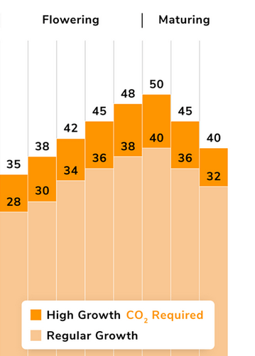 Screenshot_20240816-100053_Galerie