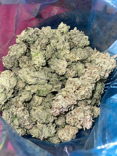 Growreport Bild 65