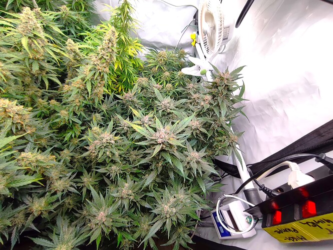 Growreport Bild 12