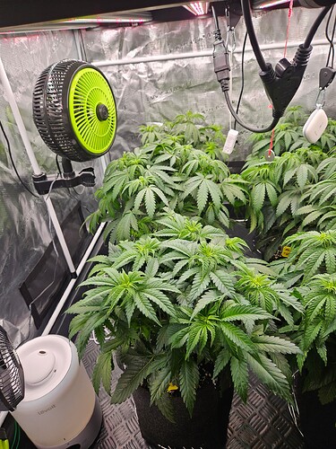 Growreport Bild 13