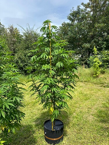 Growreport Bild 13