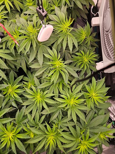 Growreport Bild 20
