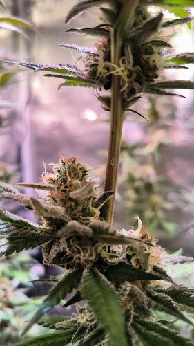 Growreport Bild 8