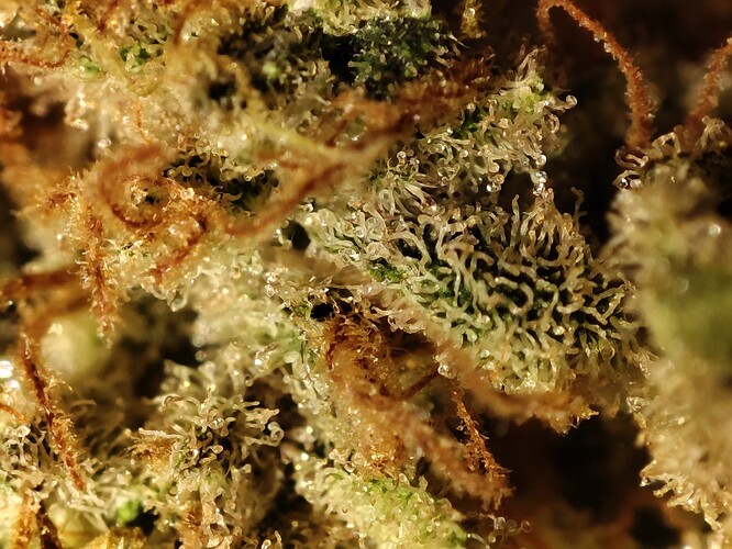 Growreport Bild 10