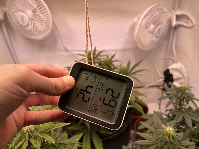 Growreport Bild 8