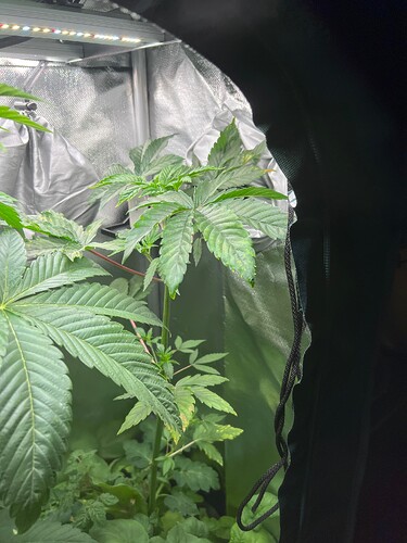 Growreport Bild 7