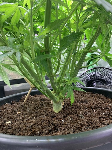 Growreport Bild 18