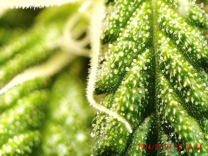 Growreport Bild 23